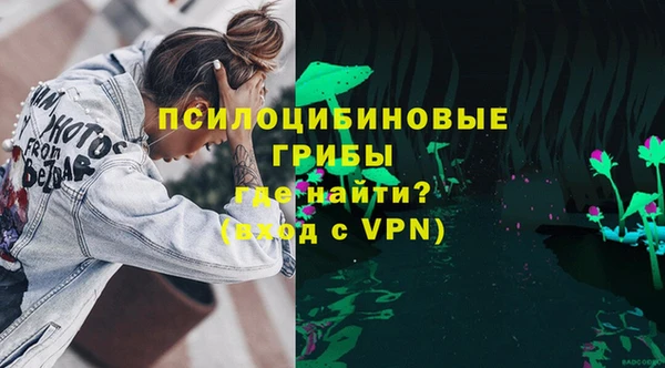 сатива Алексин