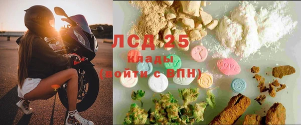 амф Алзамай