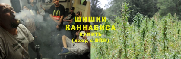 сатива Алексин