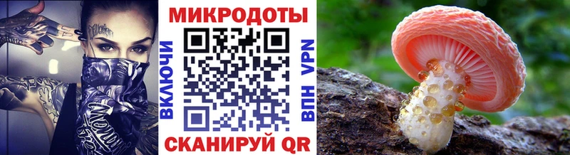 кракен ССЫЛКА  Чайковский  Псилоцибиновые грибы мицелий 