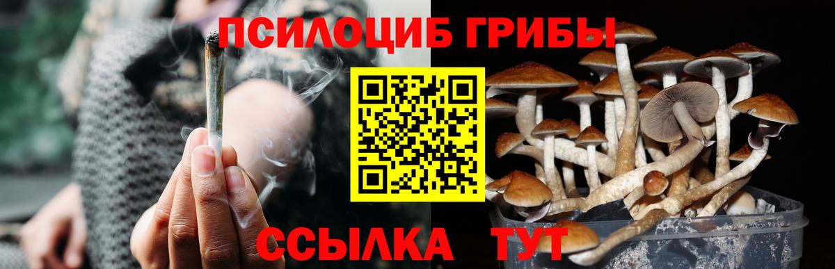 Галлюциногенные грибы Magic Shrooms Чайковский